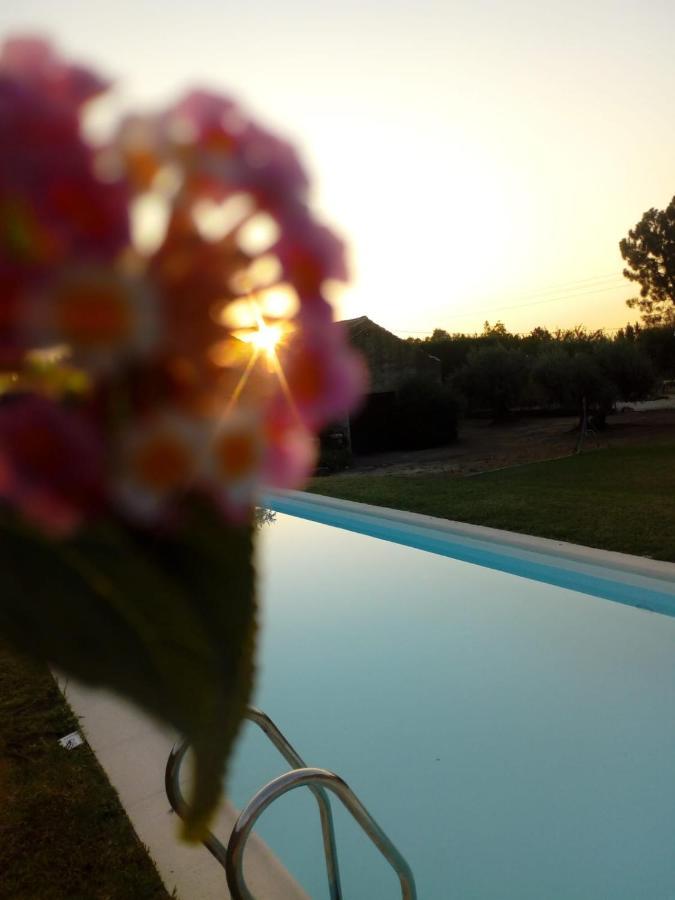 Adobe Typical Cottage Alpalhao  Dış mekan fotoğraf