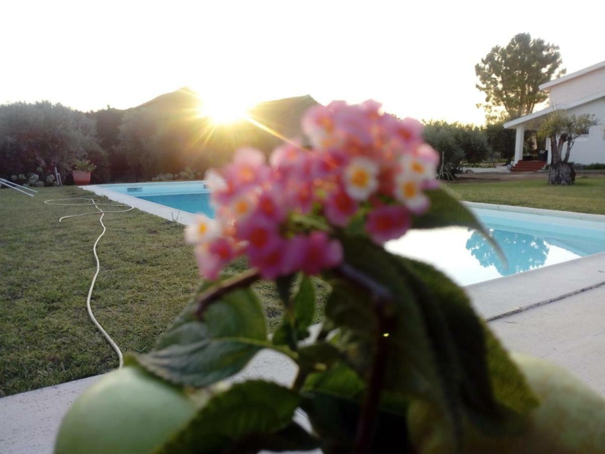 Adobe Typical Cottage Alpalhao  Dış mekan fotoğraf